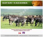 Safari - Kadamba